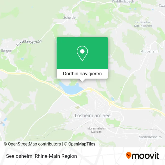 Seelosheim Karte