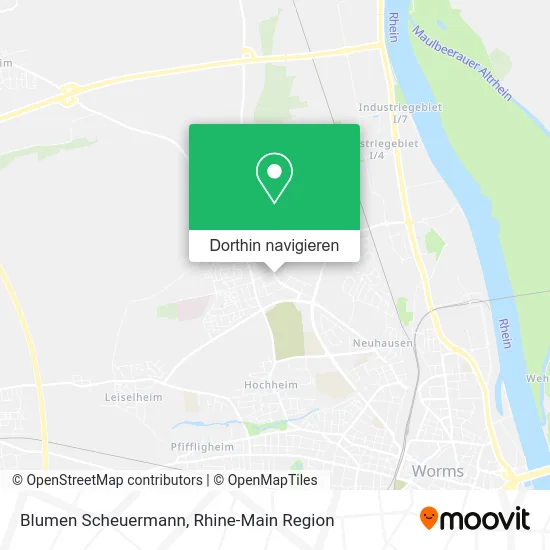 Blumen Scheuermann Karte