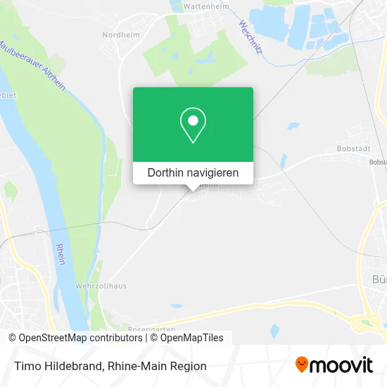 Timo Hildebrand Karte