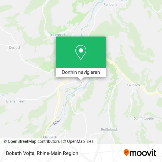 Bobath Vojta Karte