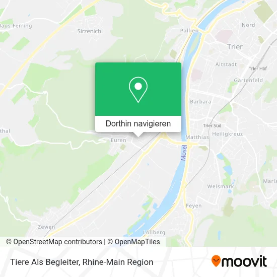 Tiere Als Begleiter Karte