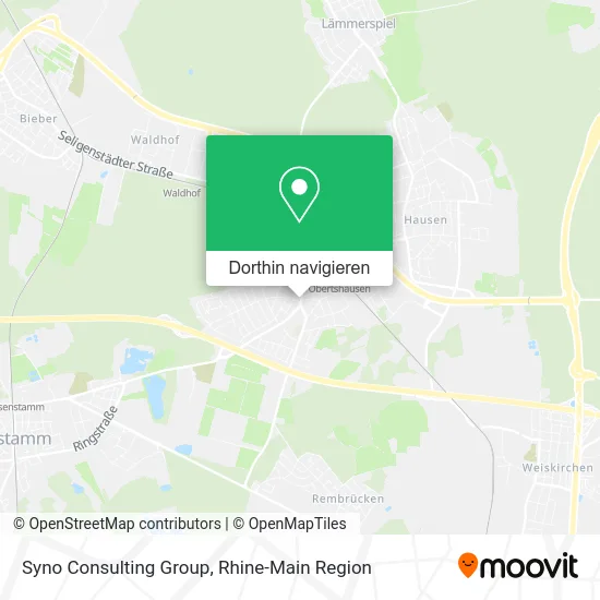 Syno Consulting Group Karte