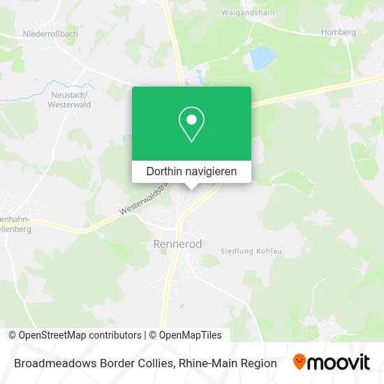 Broadmeadows Border Collies Karte