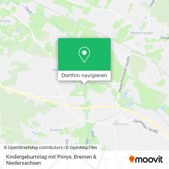 Kindergeburtstag mit Ponys Karte