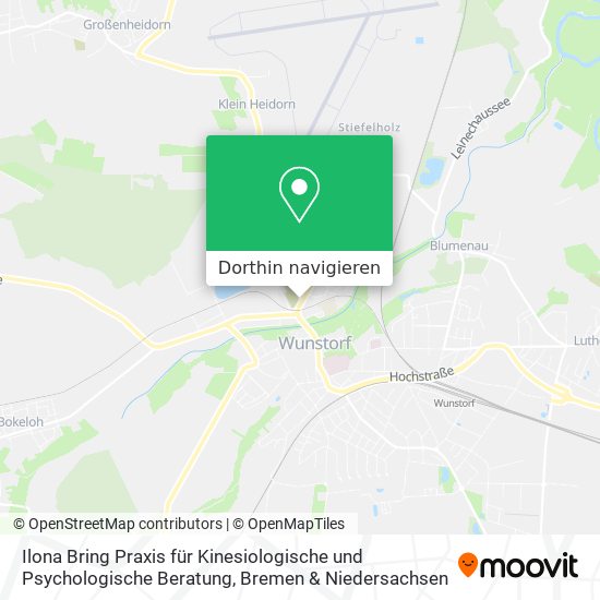 Ilona Bring Praxis für Kinesiologische und Psychologische Beratung Karte