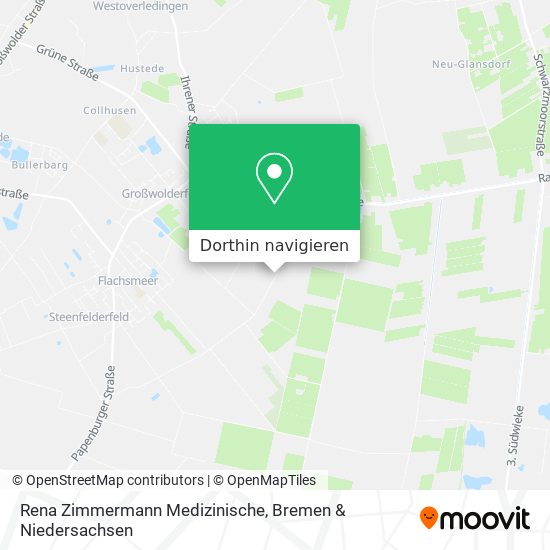 Rena Zimmermann Medizinische Karte