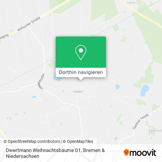 Dwertmann Weihnachtsbäume 01 Karte