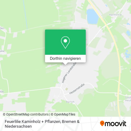 Feuerlilie Kaminholz + Pflanzen Karte