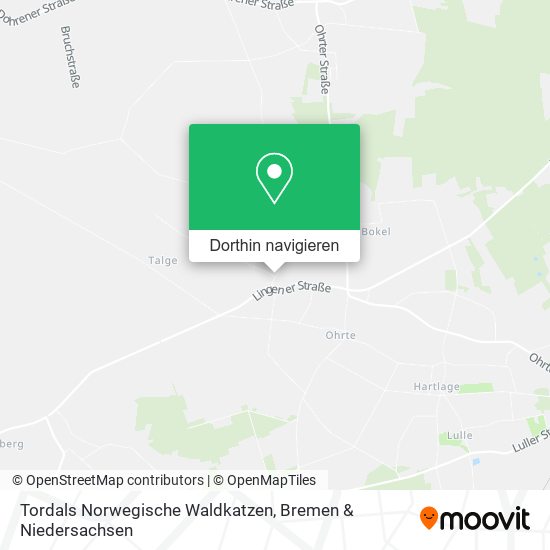 Tordals Norwegische Waldkatzen Karte