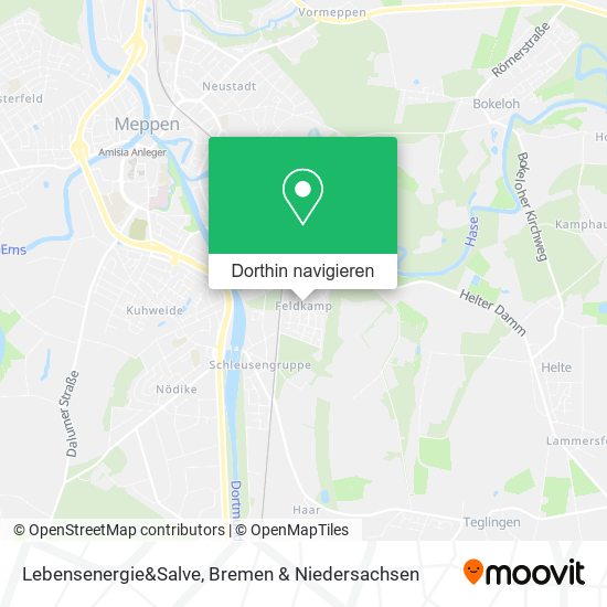 Lebensenergie&Salve Karte