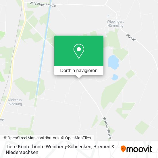 Tiere Kunterbunte Weinberg-Schnecken Karte