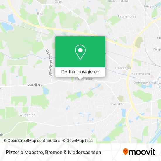Pizzeria Maestro Karte