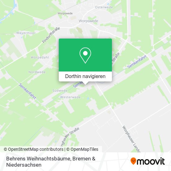 Behrens Weihnachtsbäume Karte