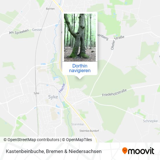Kastenbeinbuche Karte