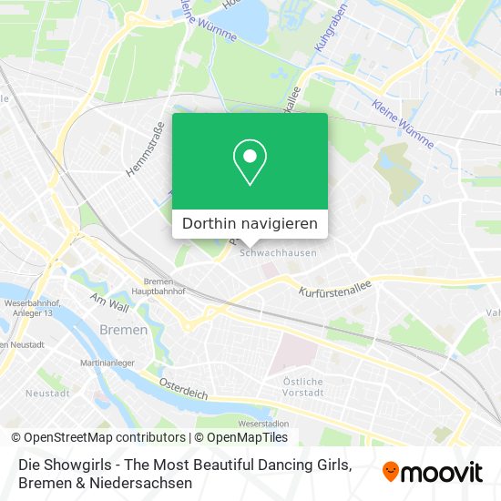 Die Showgirls - The Most Beautiful Dancing Girls Karte
