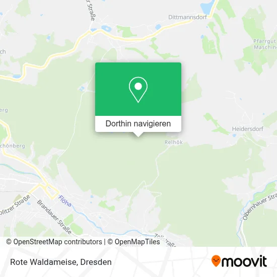 Rote Waldameise Karte