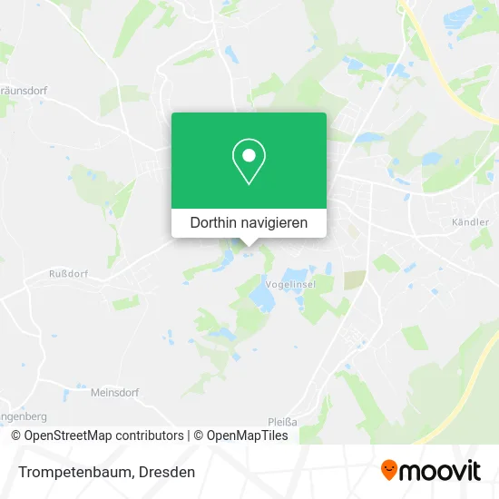 Trompetenbaum Karte