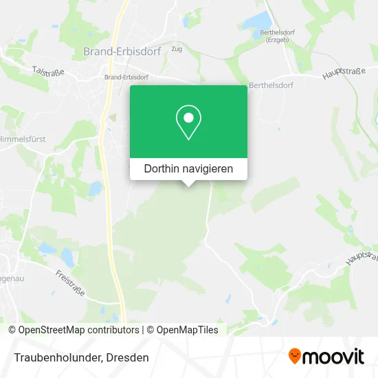 Traubenholunder Karte