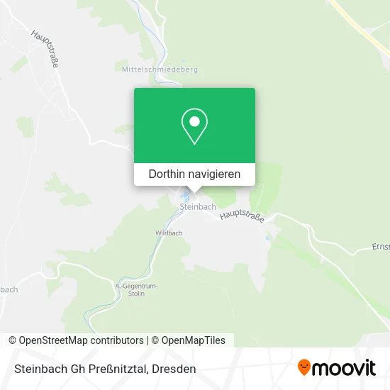 Steinbach Gh Preßnitztal Karte