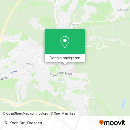 R.-Koch-Str. Karte