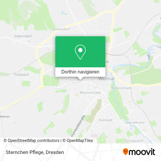 Sternchen Pflege Karte