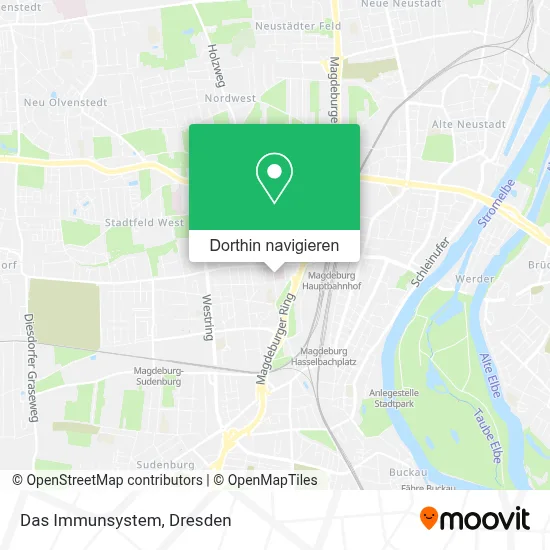 Das Immunsystem Karte