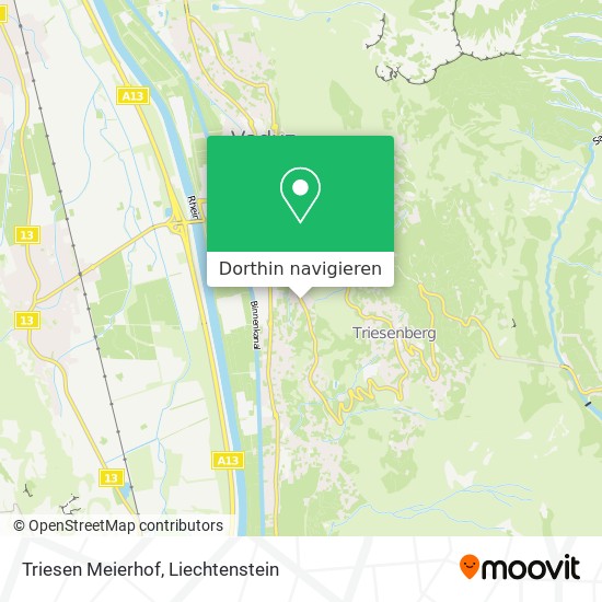 Triesen Meierhof Karte