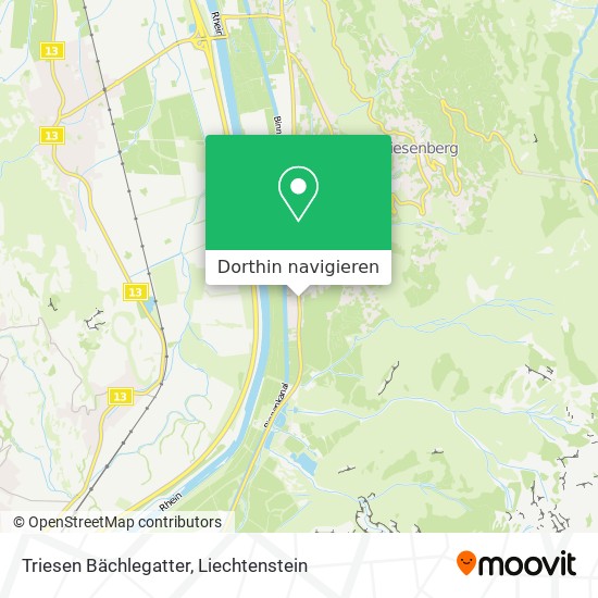 Triesen Bächlegatter Karte