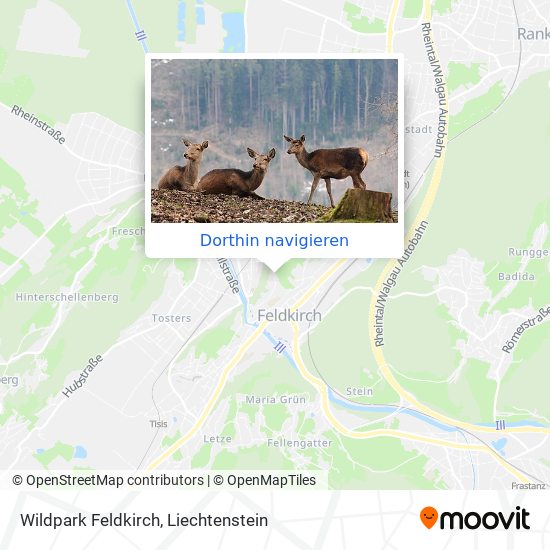 Wildpark Feldkirch Karte