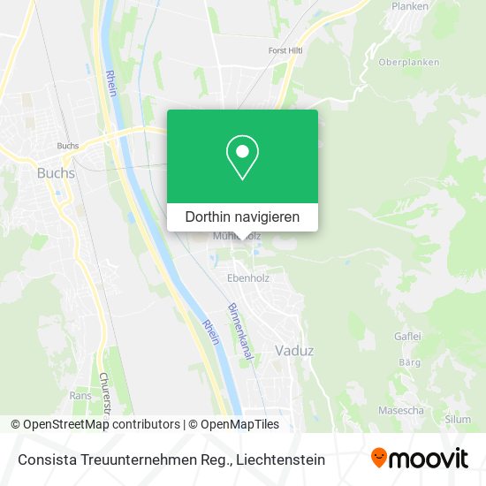 Consista Treuunternehmen Reg. Karte