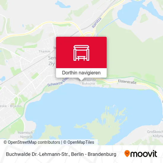 Buchwalde Dr.-Lehmann-Str. Karte
