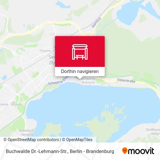 Buchwalde Dr.-Lehmann-Str. Karte