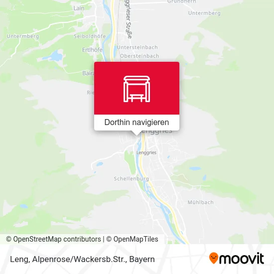 Leng, Alpenrose/Wackersb.Str. Karte