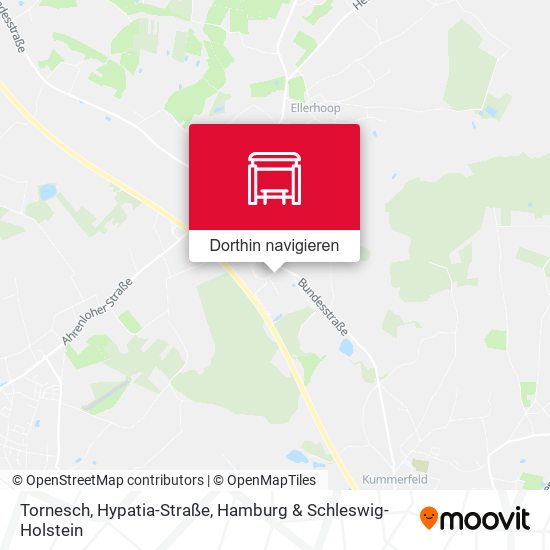 Tornesch, Hypatia-Straße Karte