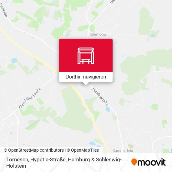Tornesch, Hypatia-Straße Karte