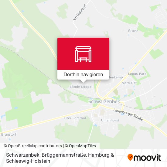Schwarzenbek, Brüggemannstraße Karte