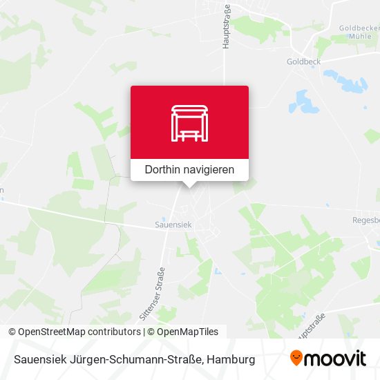 Sauensiek Jürgen-Schumann-Straße Karte