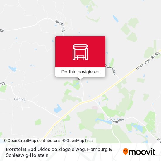 Borstel B Bad Oldesloe Ziegeleiweg Karte