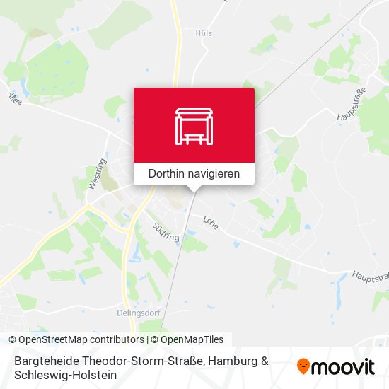 Bargteheide Theodor-Storm-Straße Karte