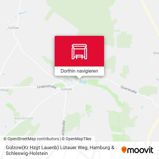 Gülzow(Kr Hzgt Lauenb) Lütauer Weg Karte
