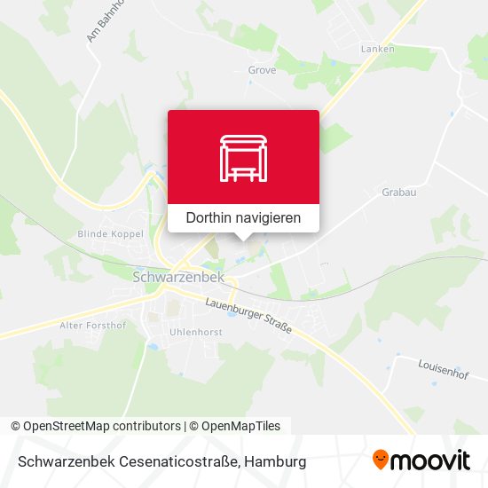Schwarzenbek Cesenaticostraße Karte