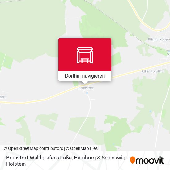 Brunstorf Waldgräfenstraße Karte