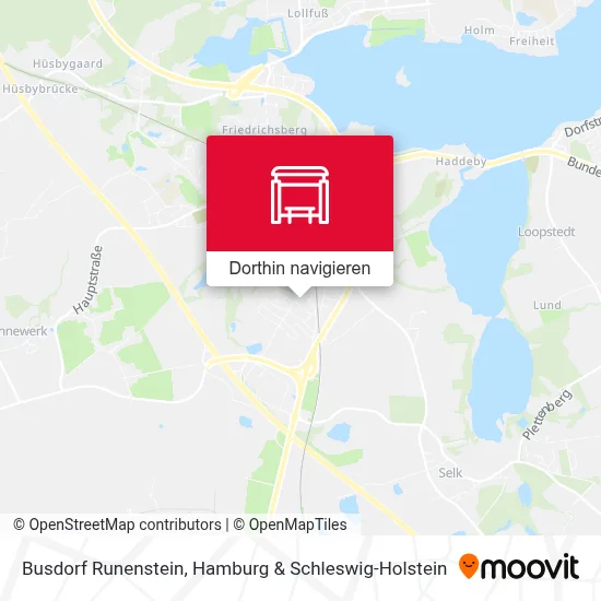 Busdorf Runenstein Karte