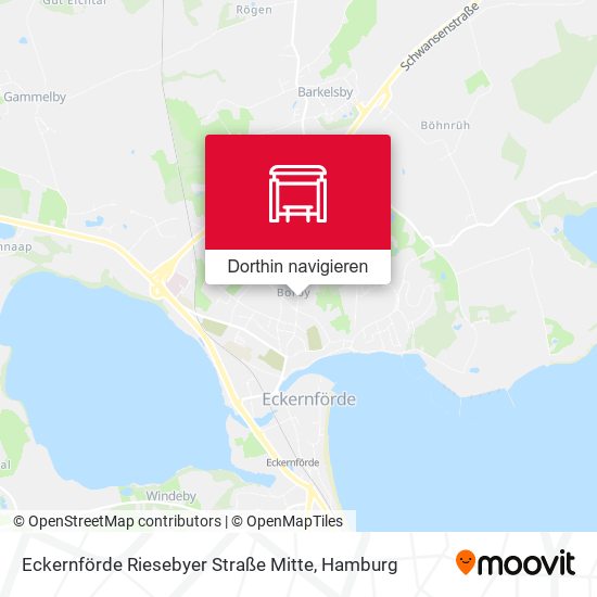 Eckernförde Riesebyer Straße Mitte Karte
