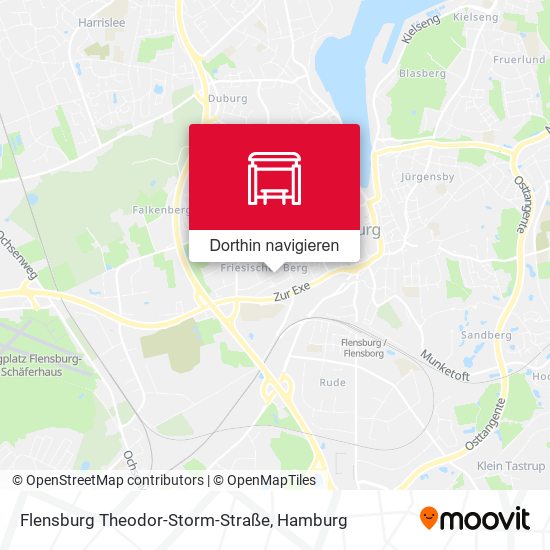 Flensburg Theodor-Storm-Straße Karte