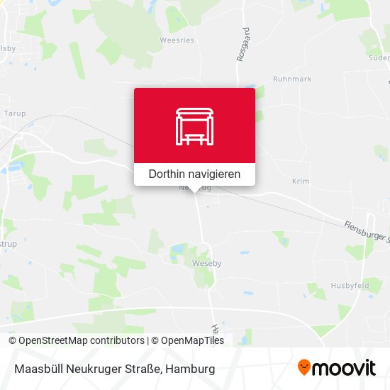 Maasbüll Neukruger Straße Karte