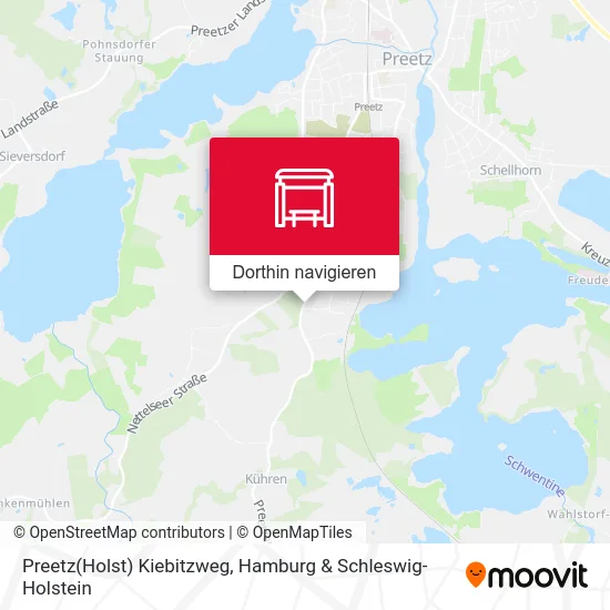 Preetz(Holst) Kiebitzweg Karte