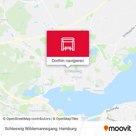 Schleswig Wildemannsgang Karte