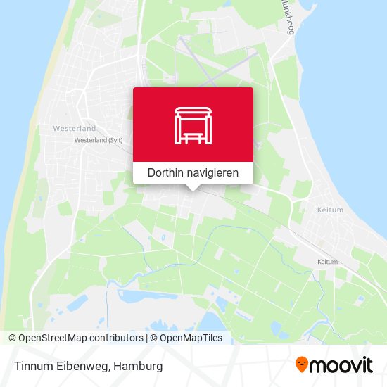 Tinnum Eibenweg Karte