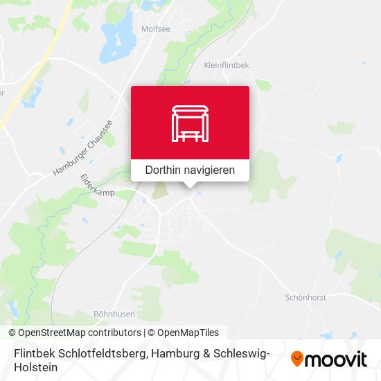 Flintbek Schlotfeldtsberg Karte